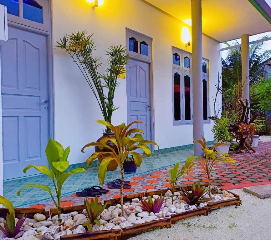 Boegas View Guesthouse في Vaikaradhoo: حديقة امام بيت به نباتات