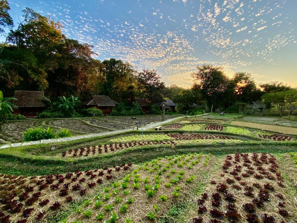 Zahrada ubytování Fern Resort Mae Hong Son