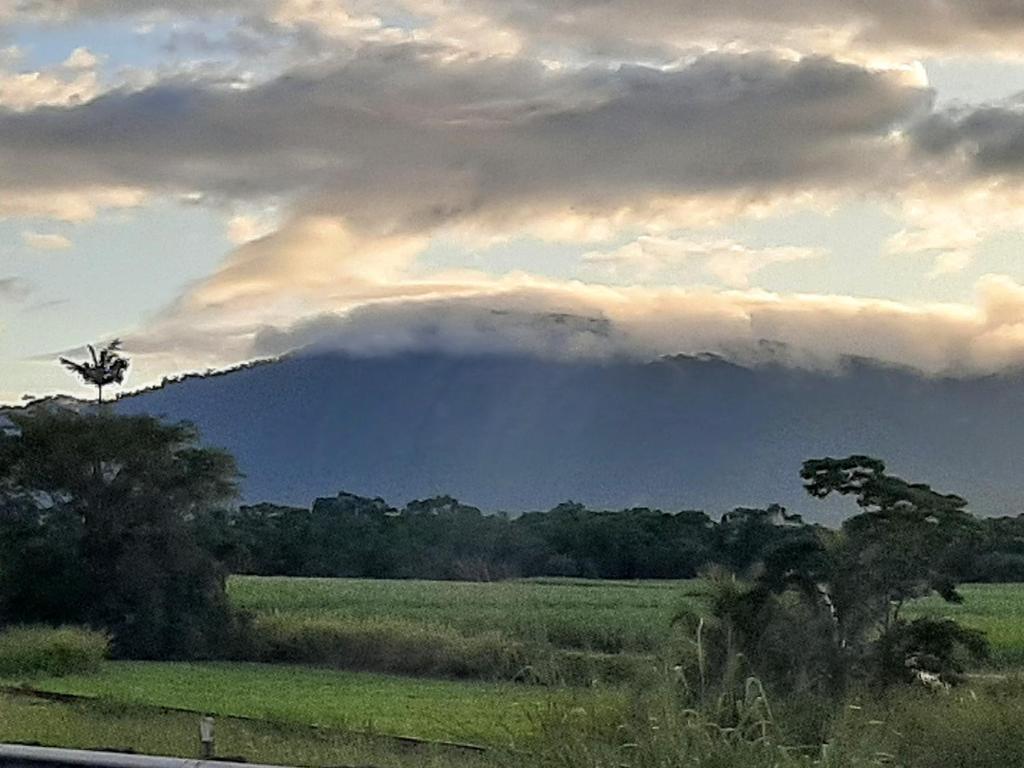 The Library Studio apartment, Innisfail (updated prices 2024)