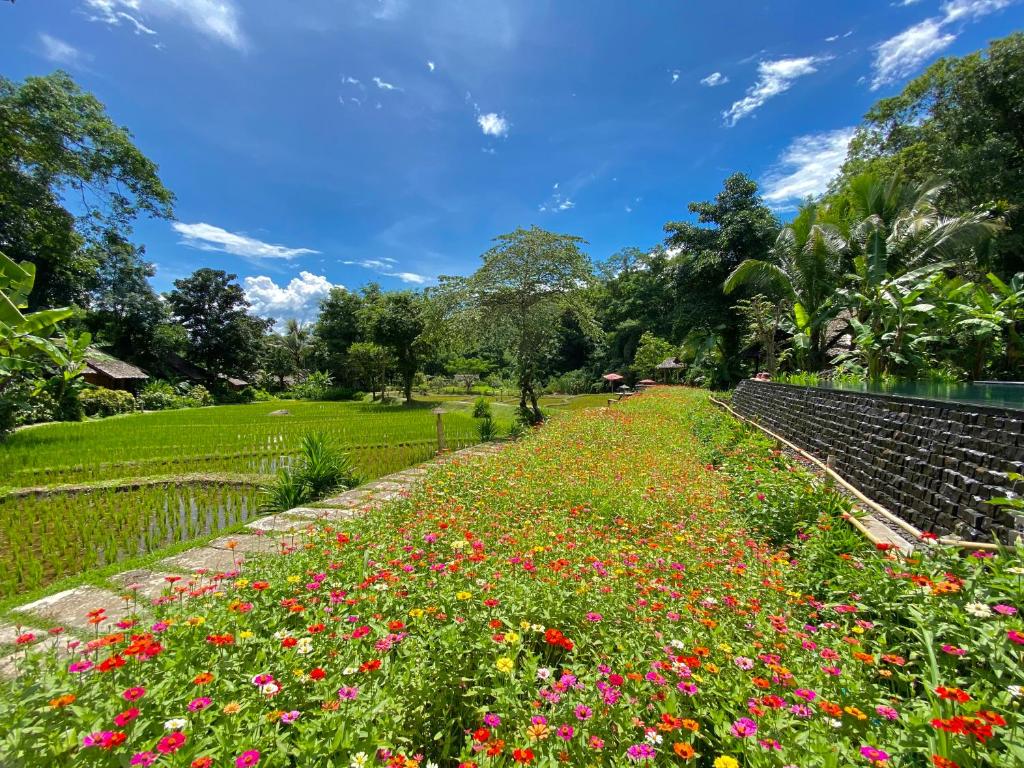 Zahrada ubytování Fern Resort Mae Hong Son