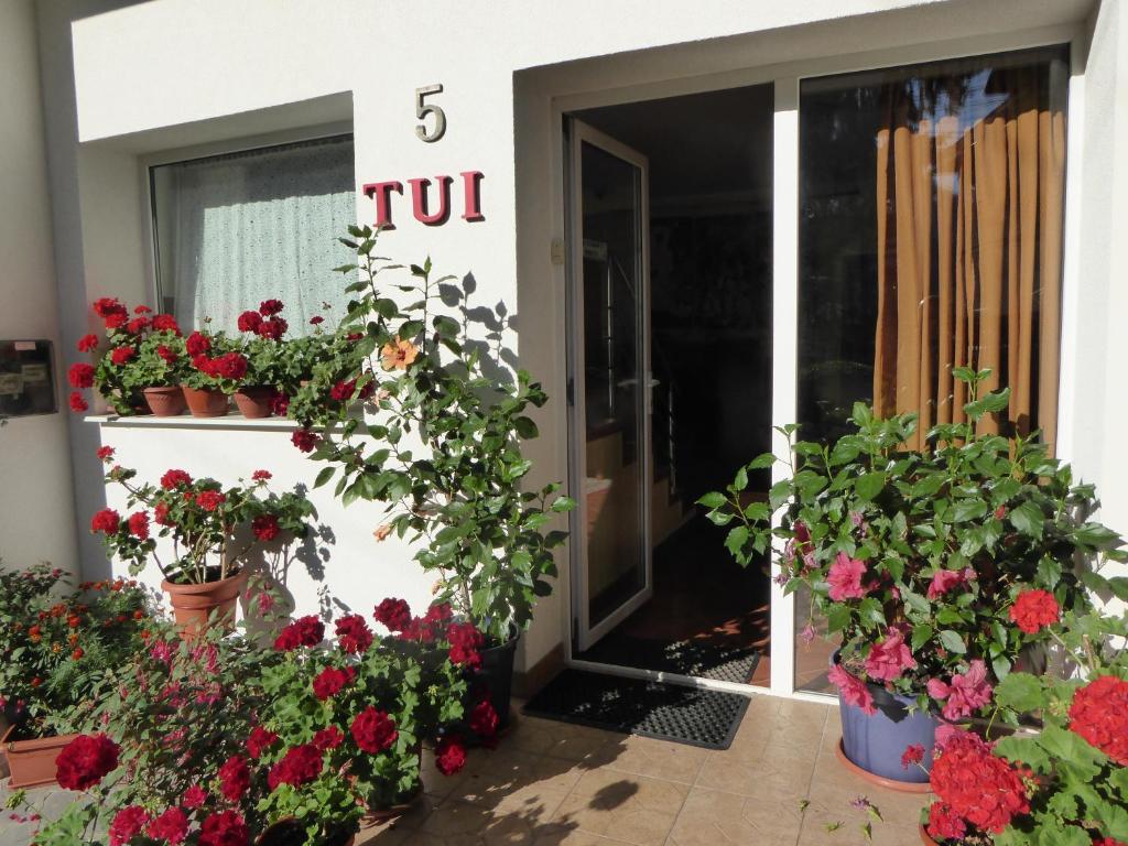 a group of flowers in pots outside of a building at Pension Tui in Sinaia