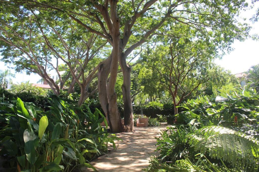 uma árvore no meio de um jardim em Villa Gardens, Beach Front (Santuarios de la bahia em Nuevo Vallarta 