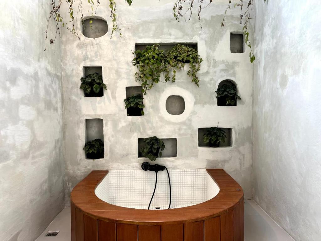 d'une baignoire avec des plantes sur un mur blanc. dans l'établissement Imah Seniman, à Lembang