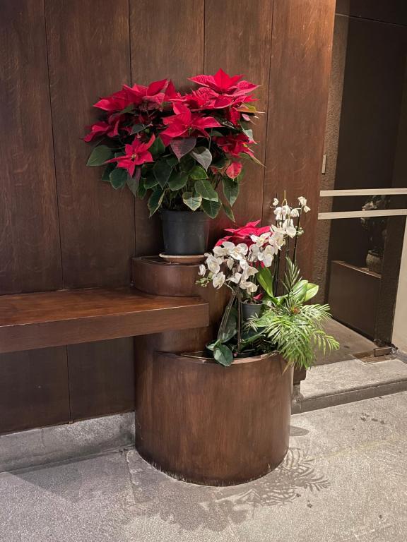 Santa Sofia Apartment - 15