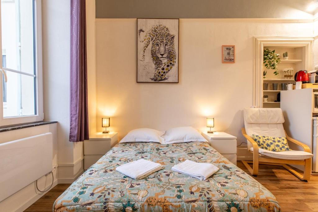 Postel nebo postele na pokoji v ubytování Résidence du Parc appartement calme