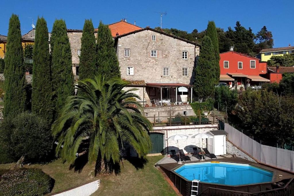 ein Haus mit einer Palme und einem Pool in der Unterkunft Borgo Bucatra Proprietà in Lucca