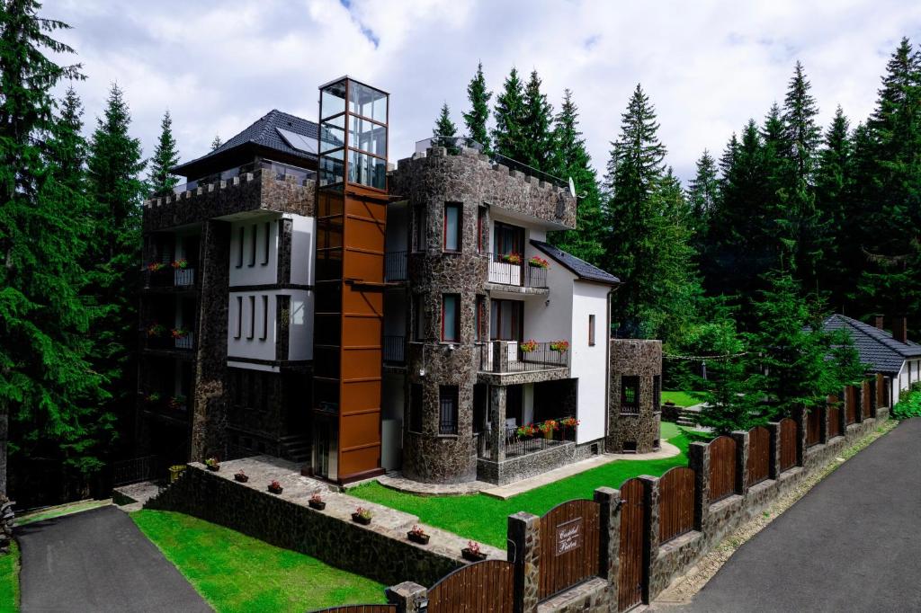 a building in the middle of a forest at Castelul de Piatra in Păltiniş