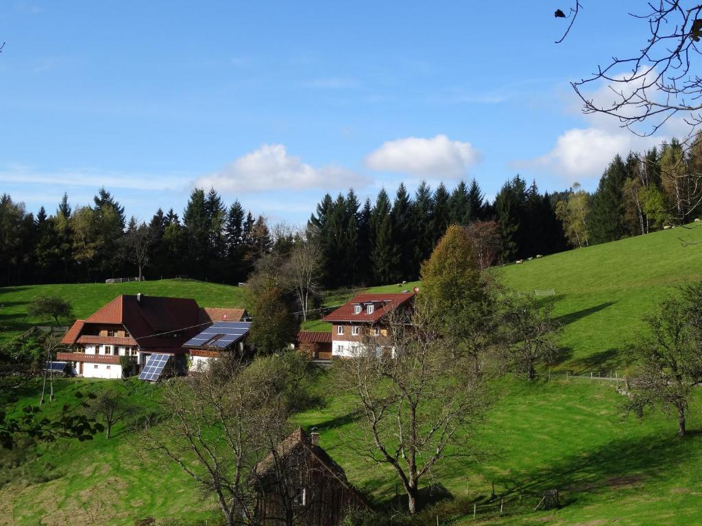 eine Gruppe von Häusern auf einem grünen Hügel mit Bäumen in der Unterkunft Ferienwohnung Berghansenhof in Wolfach