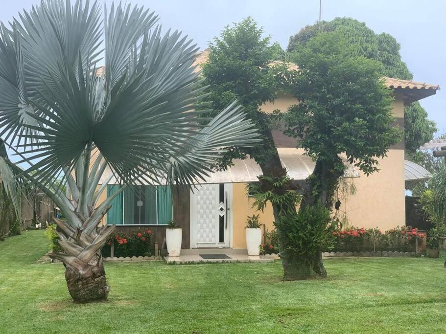 a house with a palm tree in front of it at Descanso, pesca e praia in Iguape