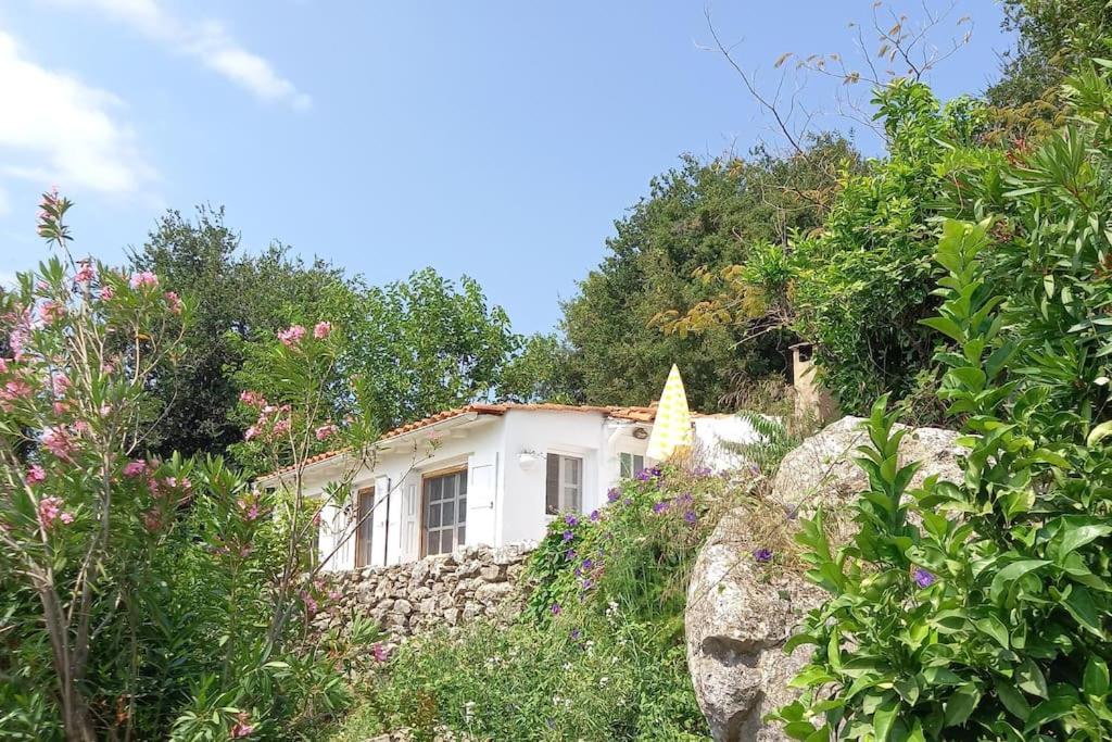 Zahrada ubytování Katafygio, hillside hideaway in Skiathos