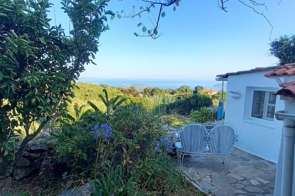 Zahrada ubytování Katafygio, hillside hideaway in Skiathos