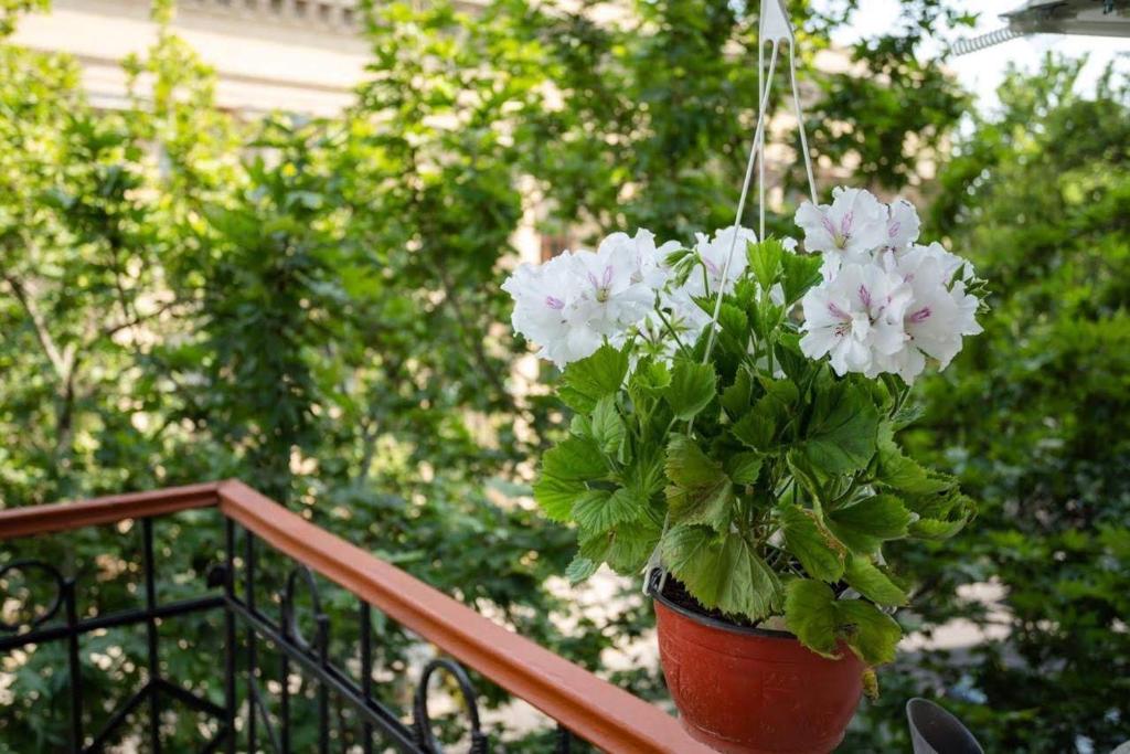 لابی و فضای عمومی الیسیوم - تصویر ۵