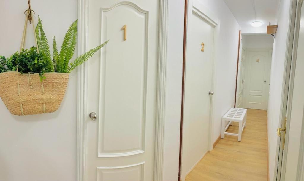 a hallway with a white door and a basket of plants at Alojamiento Calma in Hospitalet de Llobregat
