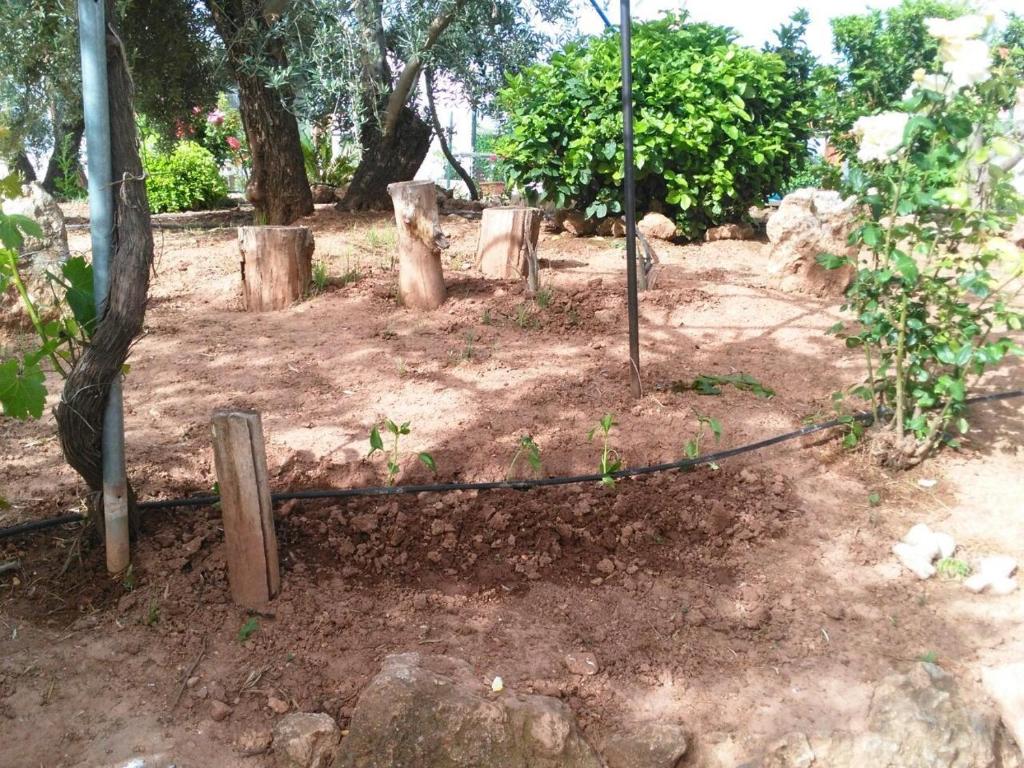 Zahrada ubytování Alojamientos Rurales la Loma