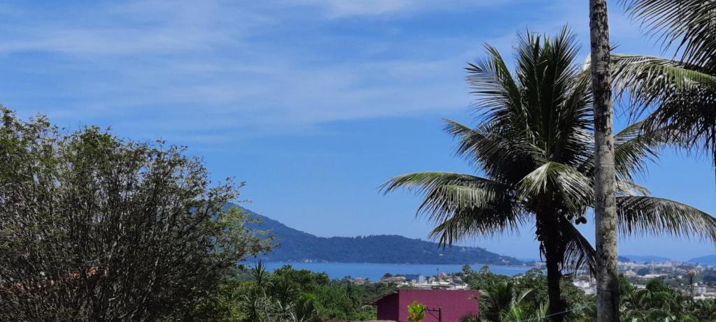 a palm tree and a view of the water at Refúgio dos gatos in Ubatuba