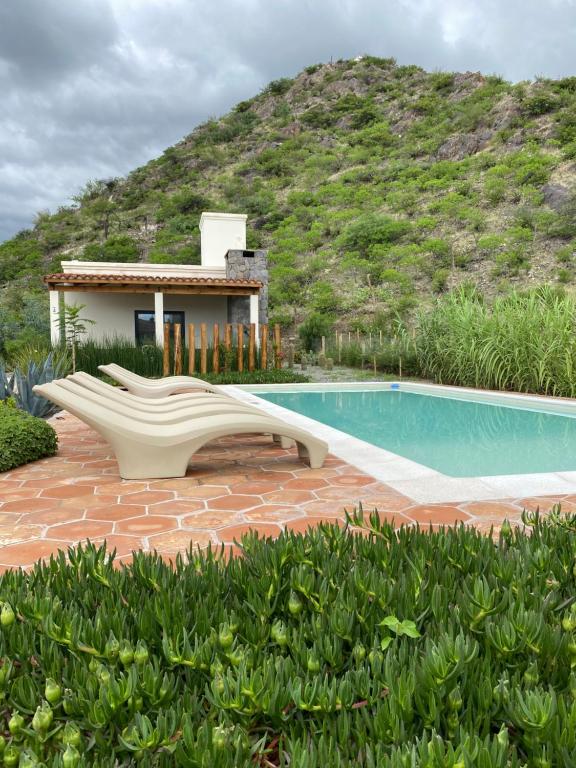 a resort with a swimming pool and a house at Complejo Los Olivos in Cafayate