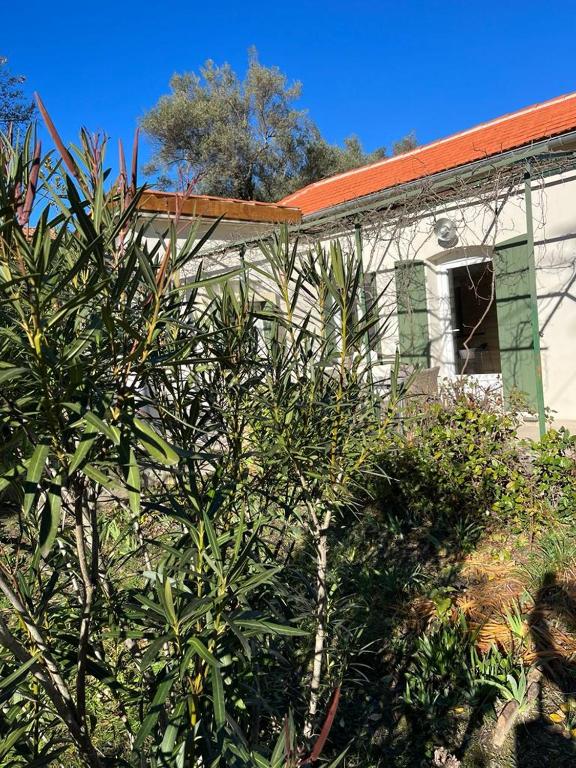 un bâtiment avec un arbre devant lui dans l'établissement Mazet Chantilly, 3 étoiles Gîtes de France, Alès, à Alès