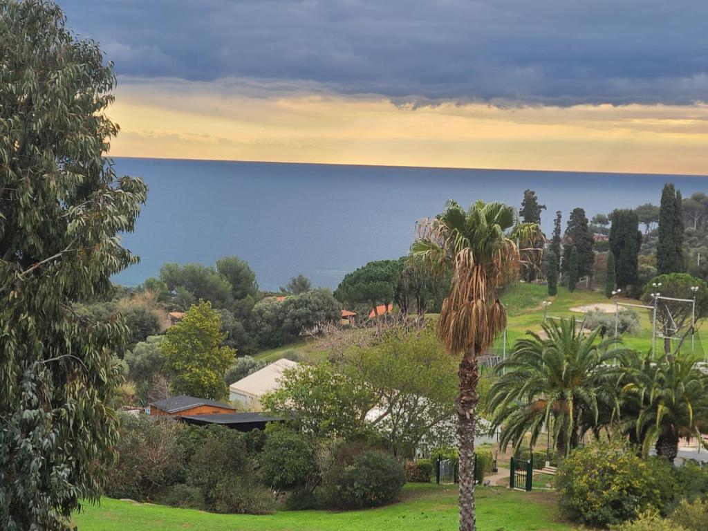 een uitzicht op de oceaan vanuit een park met een palmboom bij Appartement cap esterel vue mer in Saint-Raphaël