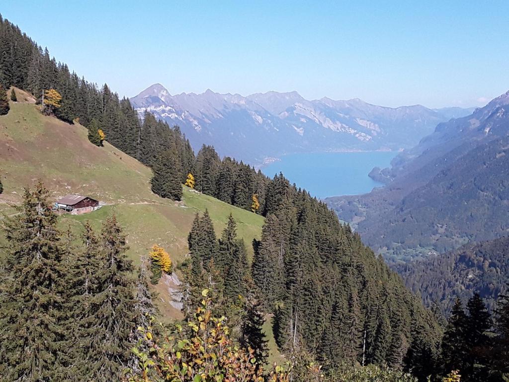 a view of a valley with a lake and mountains at DesAlpes in Saxeten