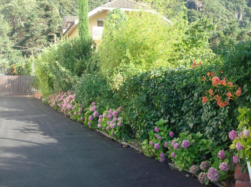 Zahrada ubytování Gasthaus Pension Flora an der Weinstrasse