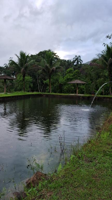 Un estanque con una fuente en el medio. en Camping Ariró en Angra dos Reis