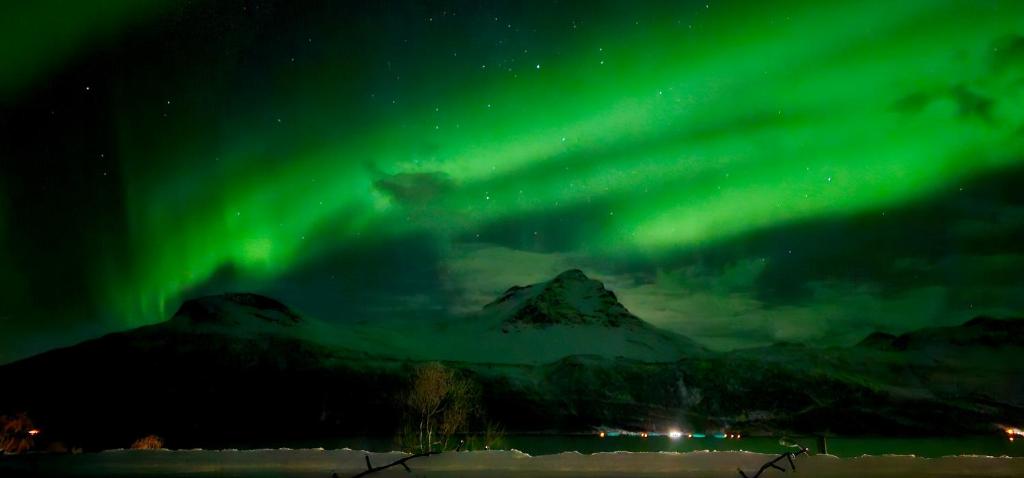 an aurora in the sky over a mountain at Face Of North in Gratangen