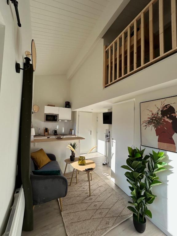 un salon avec un canapé et une table dans l'établissement l'Apparté Saint Michel - T1bis - Métro - TRAM, à Toulouse