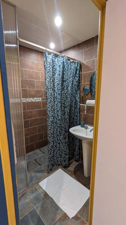 a bathroom with a shower and a sink at Aux Écuries Des Pres in Nogent-sur-Seine