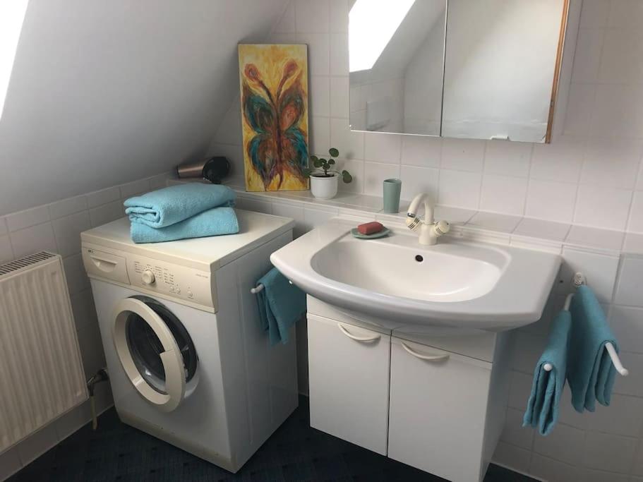 ein Badezimmer mit Waschmaschine und Waschbecken in der Unterkunft Ferienwohnung Zeitlos in Gundelsheim