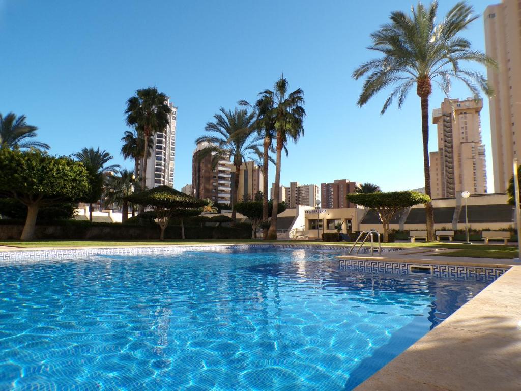 a large swimming pool with palm trees and buildings at Apartamento turístico en Gemelos 20, planta 14 in Benidorm