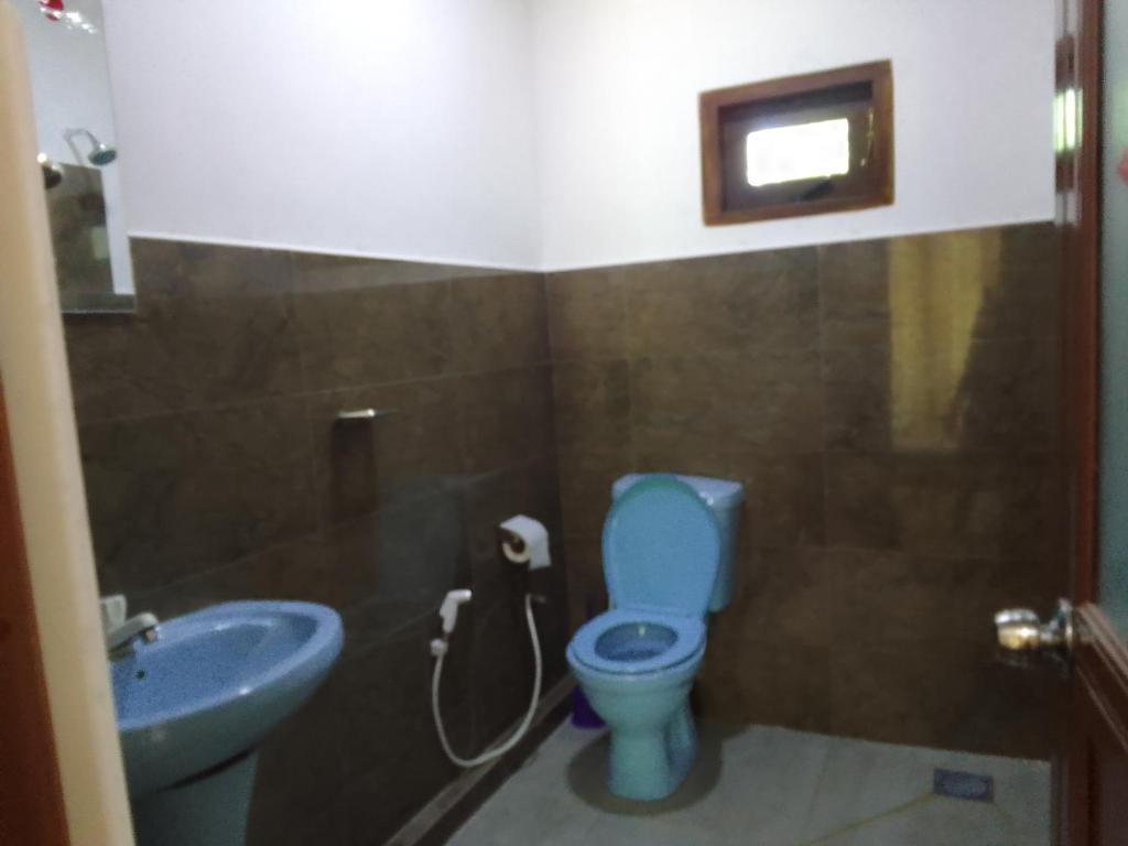 a bathroom with a blue toilet and a sink at Wilpattu Buma Homestay in Pahala Maragahawewa