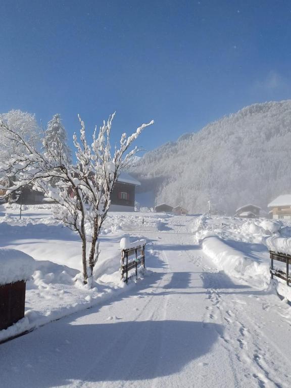 Apartment Dietrich during the winter