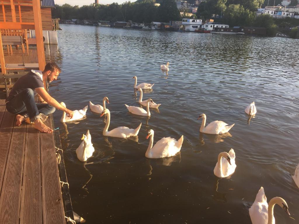 Výhled na řeku, která protéká v blízkosti ubytování na lodi