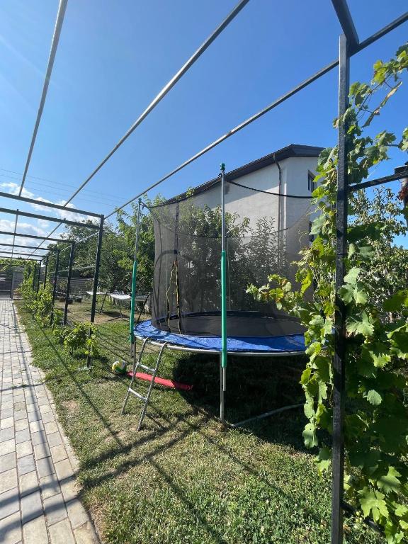 Zahrada ubytování CASA SMARALD