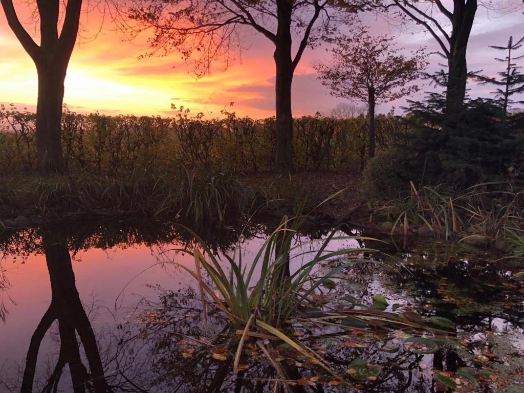 ein Spiegelbild eines Sonnenuntergangs in einem Teich mit Bäumen in der Unterkunft De Porrepoele in Alteveer