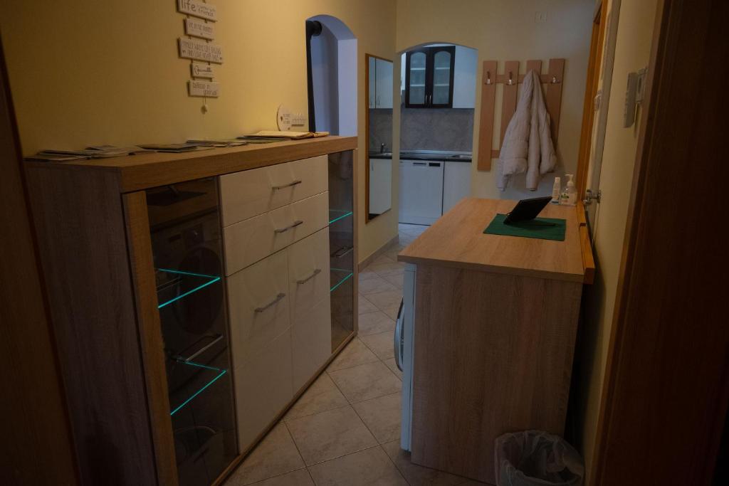 Kuchyň nebo kuchyňský kout v ubytování Apartment Veninsek