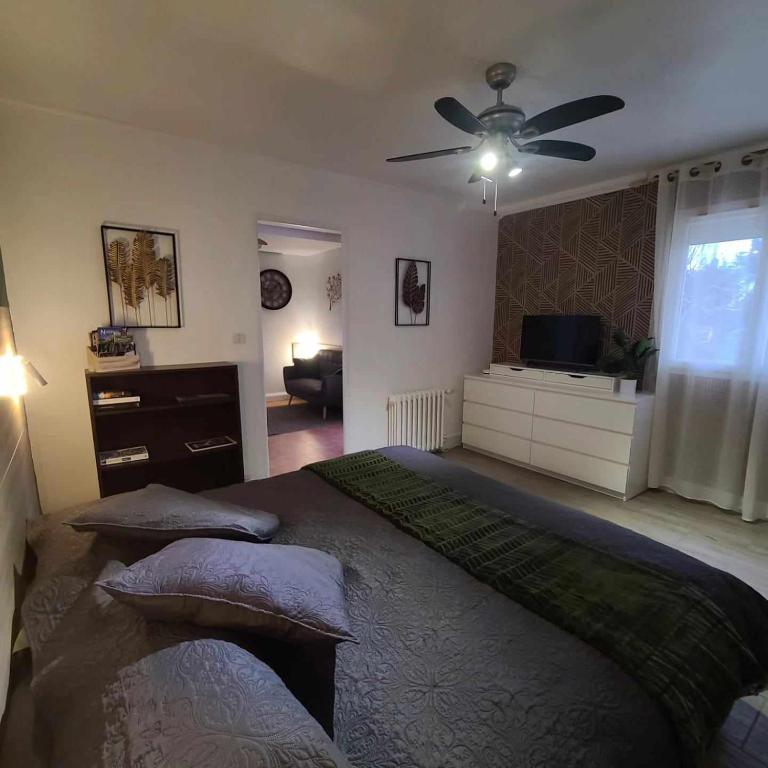 une chambre avec deux lits et un ventilateur de plafond dans l'établissement Gîte La Dolce Vita du Perigord, à Bergerac