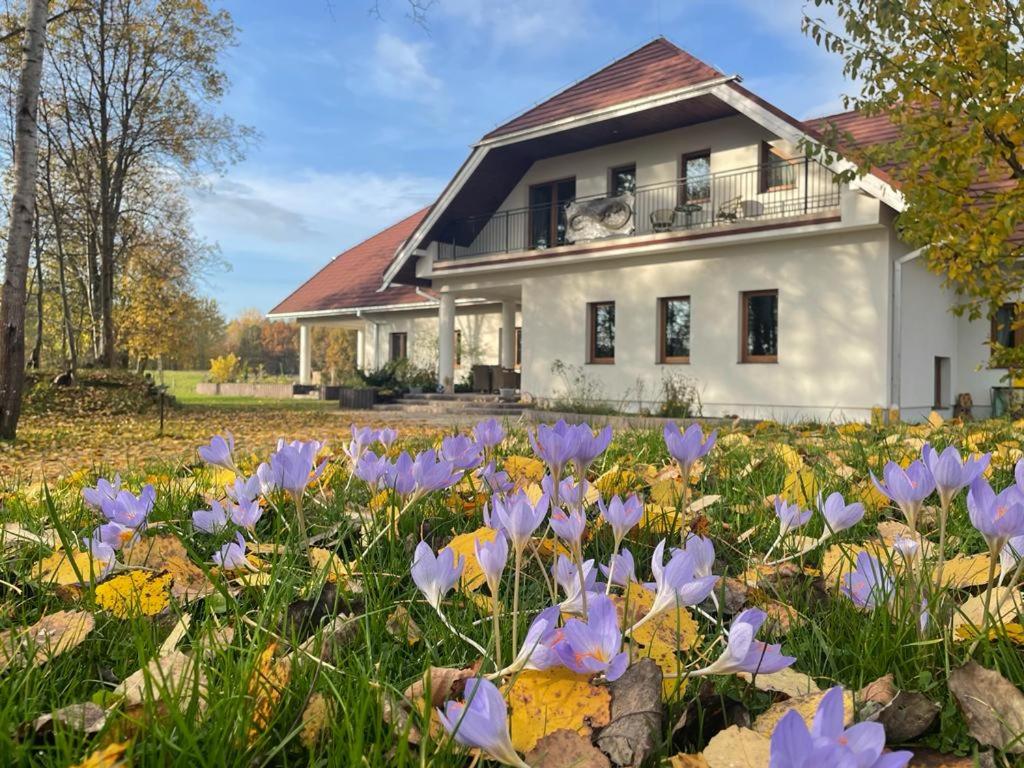 a field of purple flowers in front of a white house at Ataraxia-Gledy in Łukta