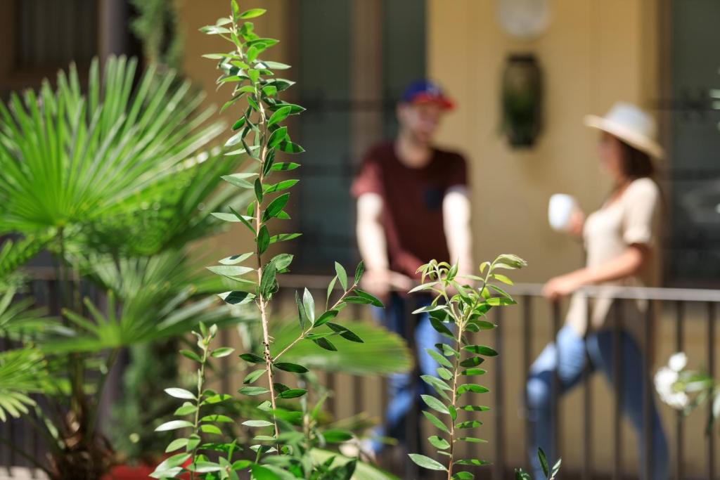 Matabi Hotel Toulouse Gare by HappyCulture - Resim 42