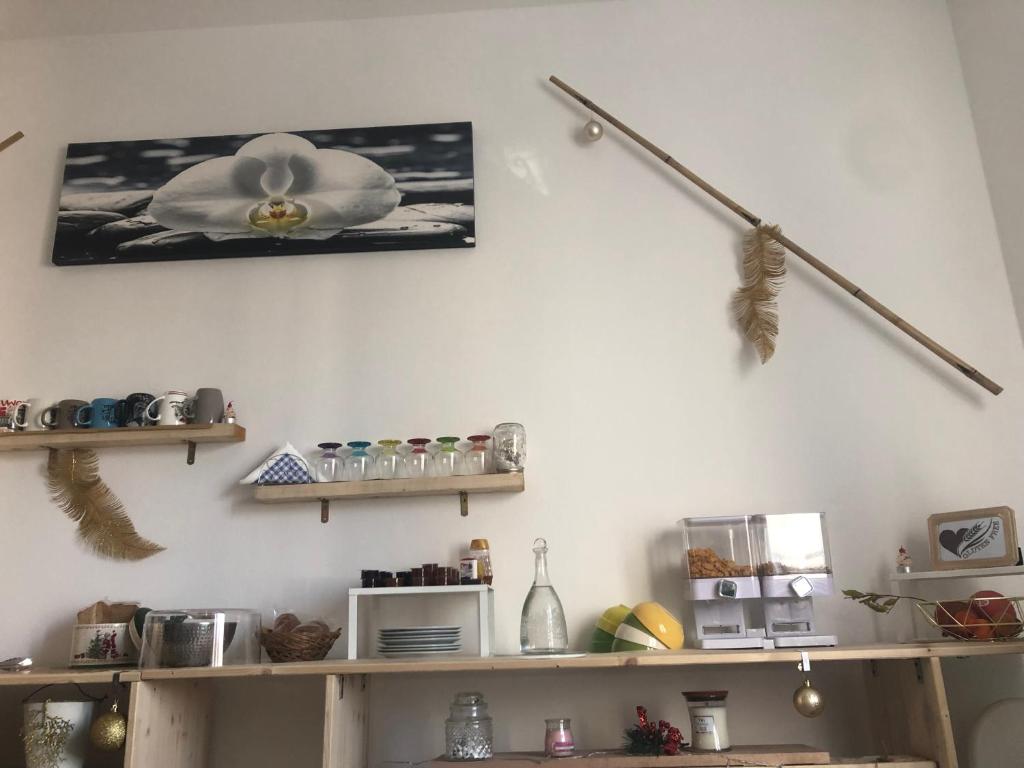 Fotografie z fotogalerie ubytování R&B MiDora Modena v destinaci Modena
