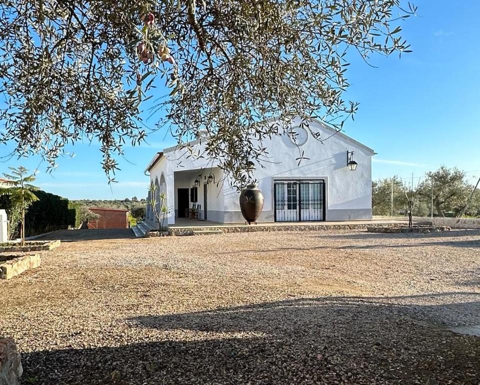 a white building with a large vase in front of it at Casa do Pote in Campo Maior