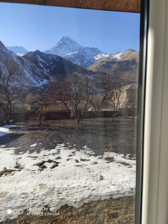 Cazcanes No. 9 Blanco Tequila (카즈카네스 No.9 블랑코 데킬라)