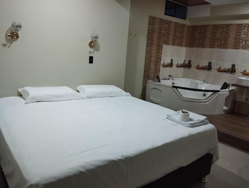 a bedroom with a bed and a tub and a sink at Hotel Amazon deluxe in Jaén