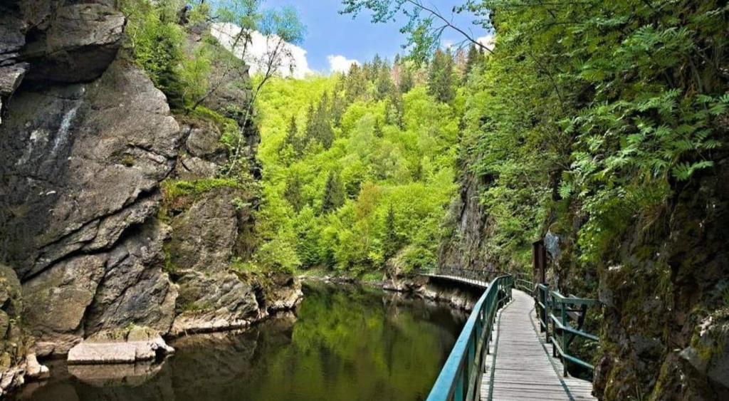 Příroda nedaleko apartmánu