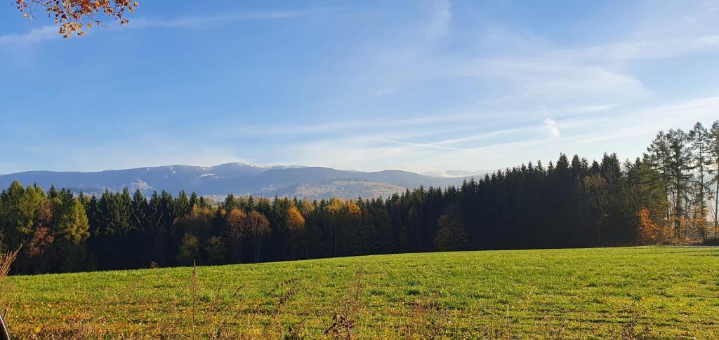 Příroda nedaleko apartmánu