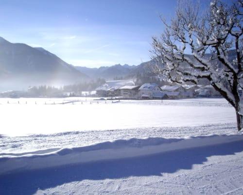 Ein Baum im Schnee neben einem schneebedeckten Feld in der Unterkunft Aignerhof in Flachau