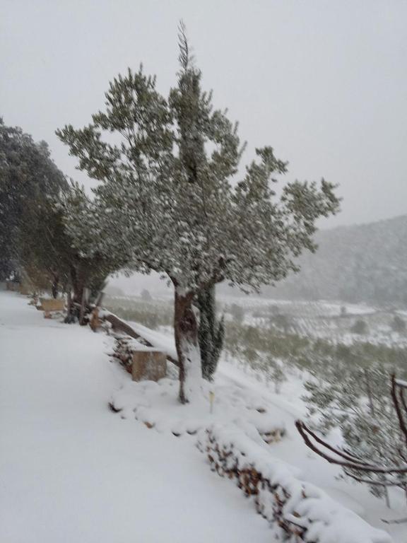 Finca Heredad La Boquilla during the winter