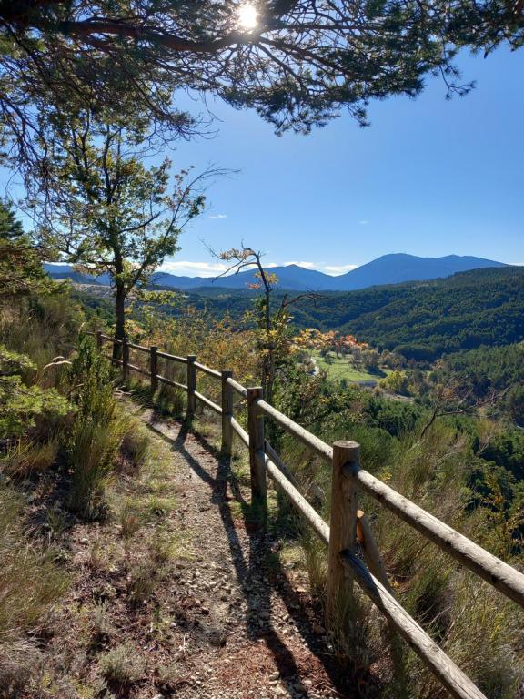 Príroda v okolí chaty v prírode