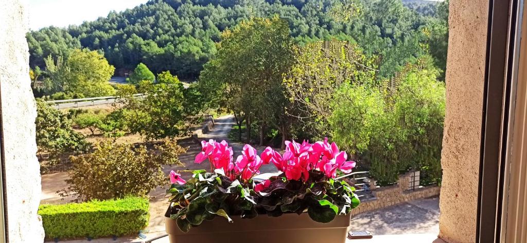 una maceta de flores rosas sentadas en el alféizar de la ventana en Ca La Silvia Masboquera, en 