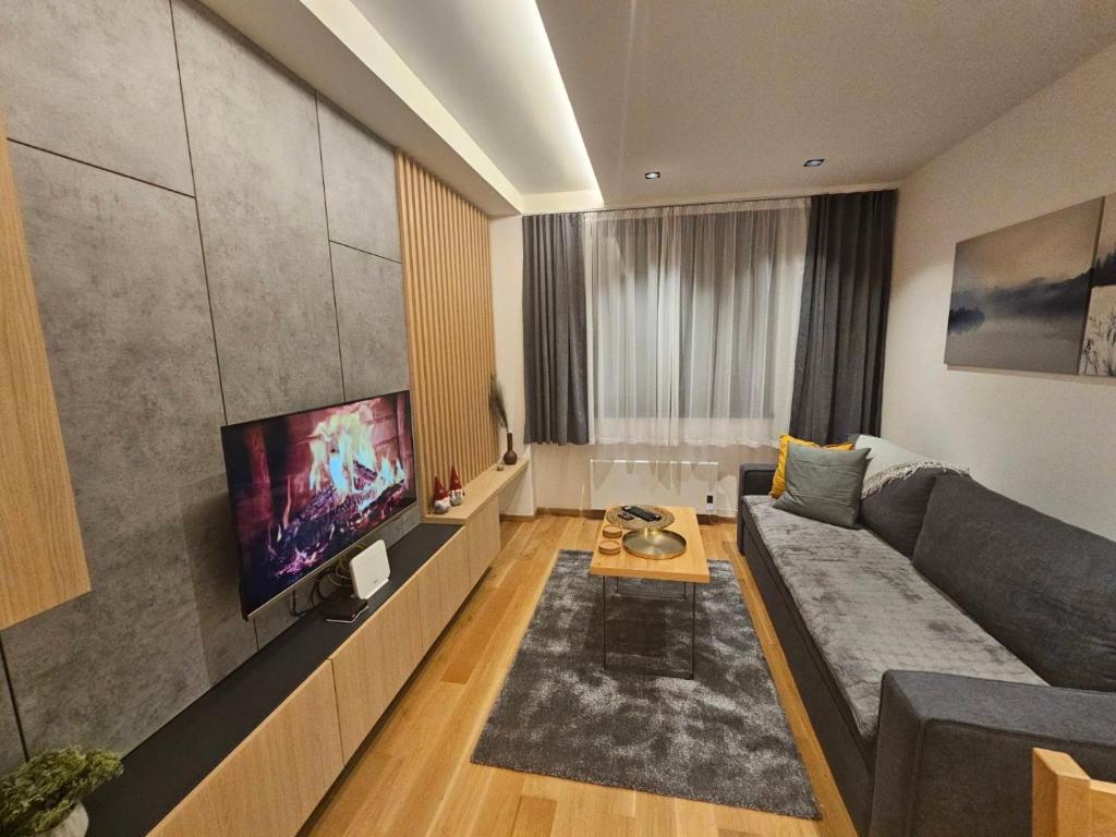 TV a/nebo společenská místnost v ubytování Zlatni Javor, Apartment 408